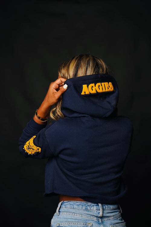 North Carolina A&T Aggies Cropped Letterman Hoodie